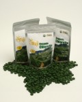 Wuji Chlorella - 3 pack