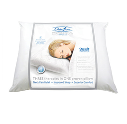 Professional Premium Water base Pillow