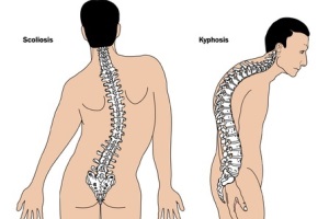 Image result for chiropractor